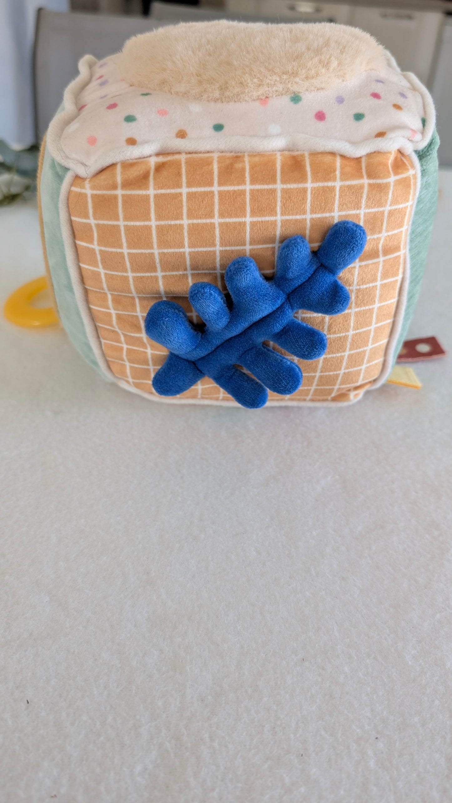 Cube d'éveil "Lion"