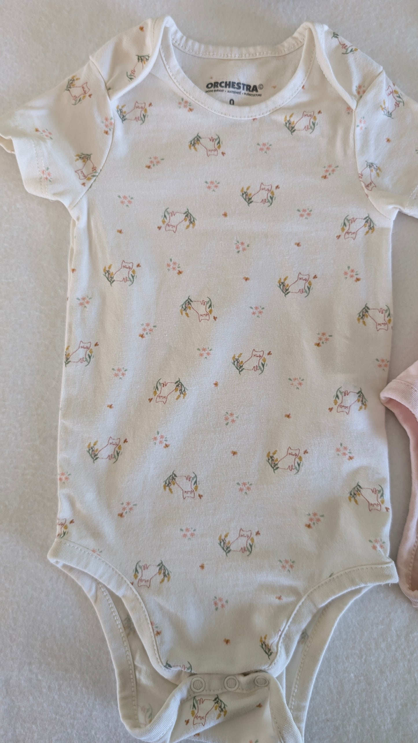 Lot body "chaton"
