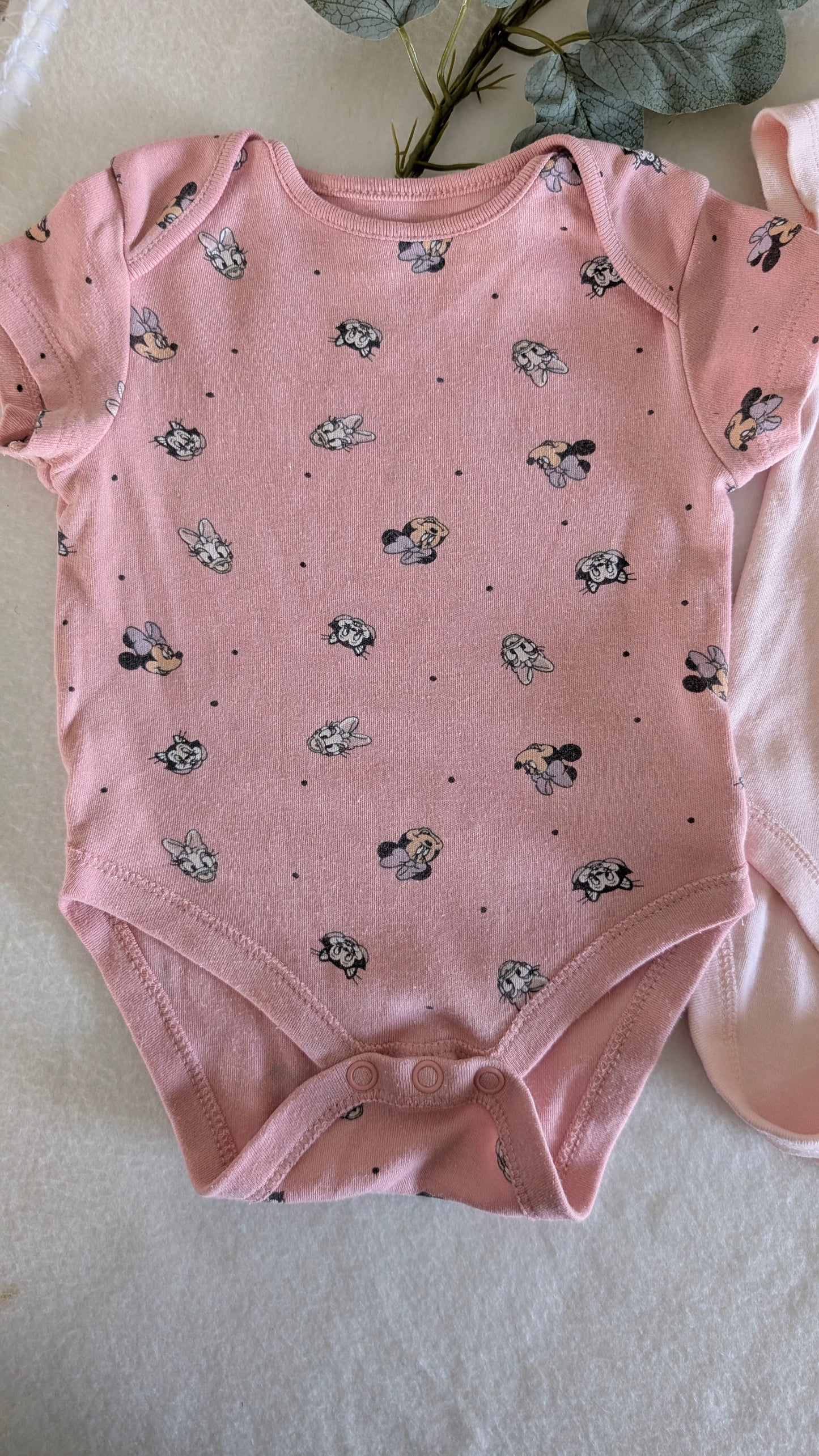 Lot body "Minnie"