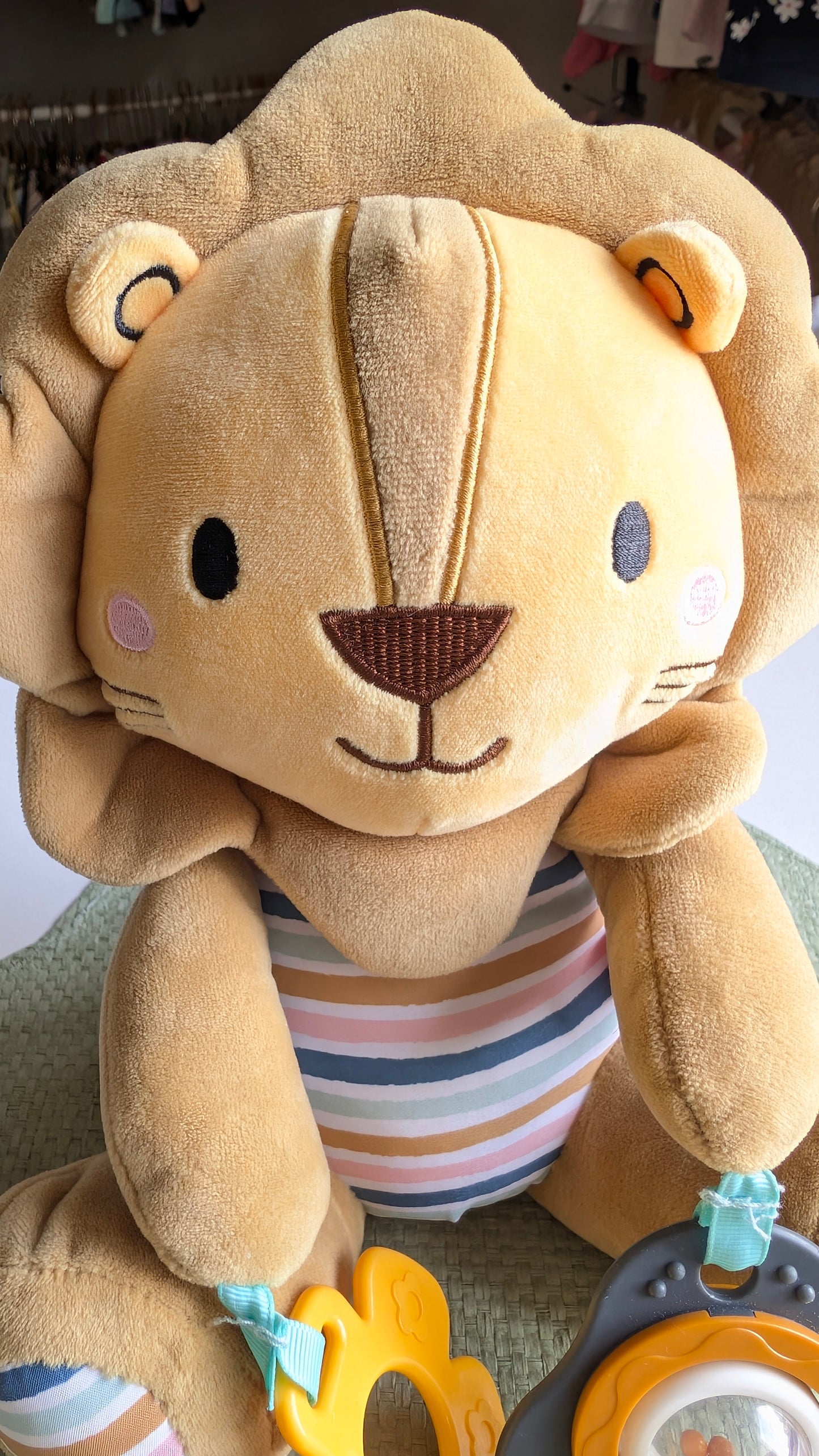 Lion d'activité sonore