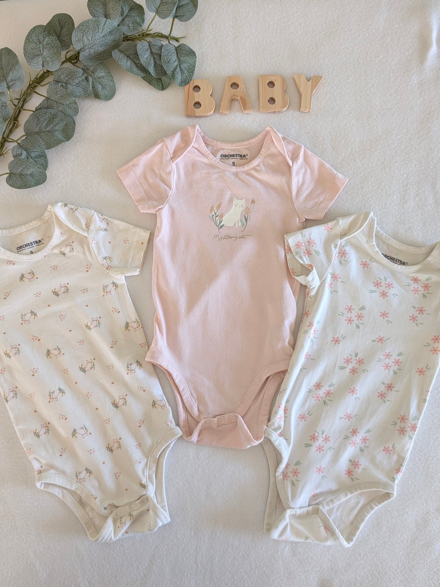 Lot body "chaton"