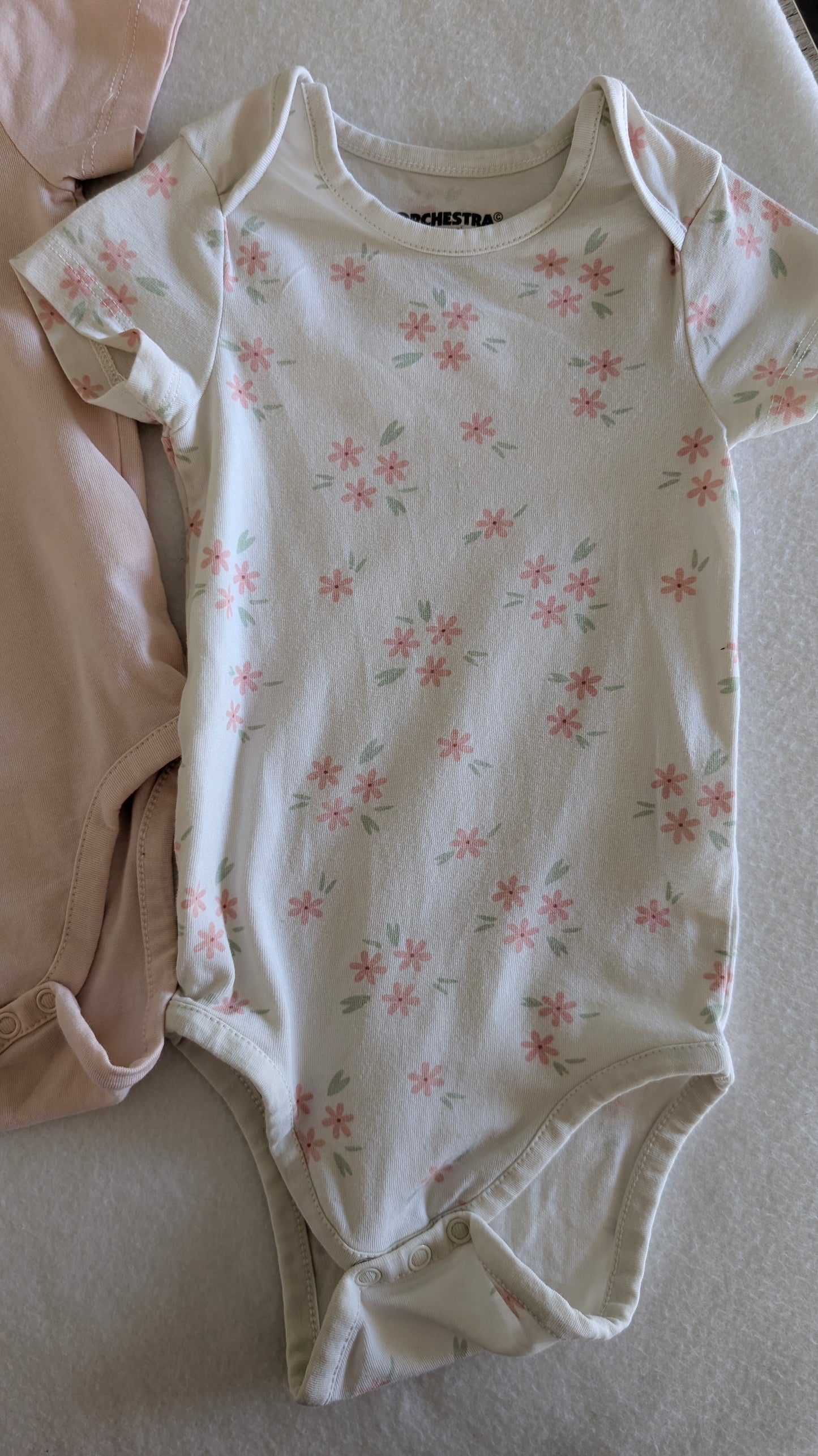 Lot body "chaton"