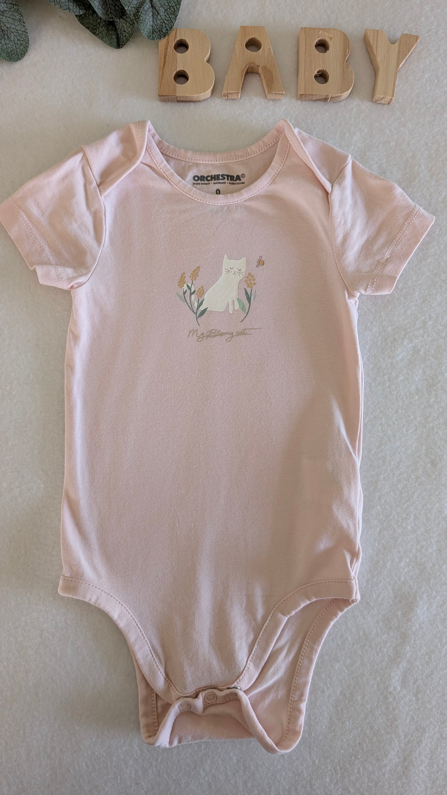 Lot body "chaton"
