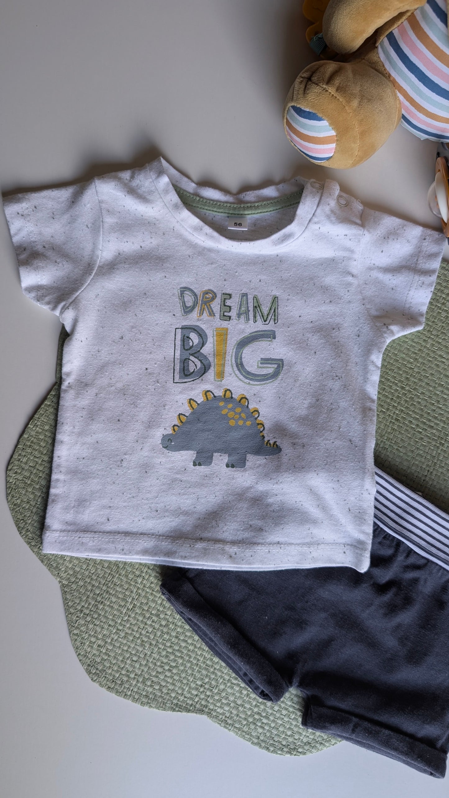 Ensemble "Dream dino "